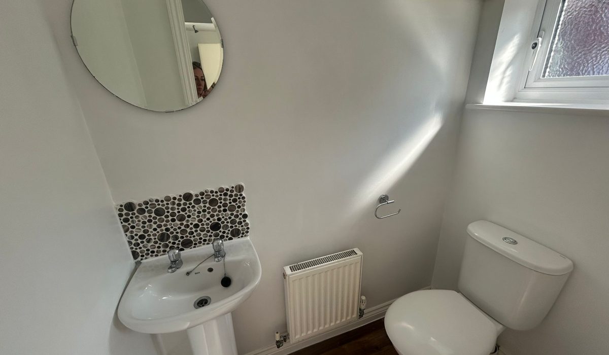 Downstairs WC with pedestal basin, toilet and window